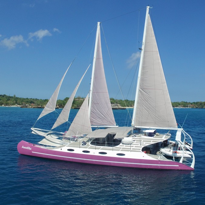 Bali Aneecha Catamaran Cruise Sunset Day Trip Dinner Party Yacht Boat Charter Sailing Liveaboard Trip Indonesia